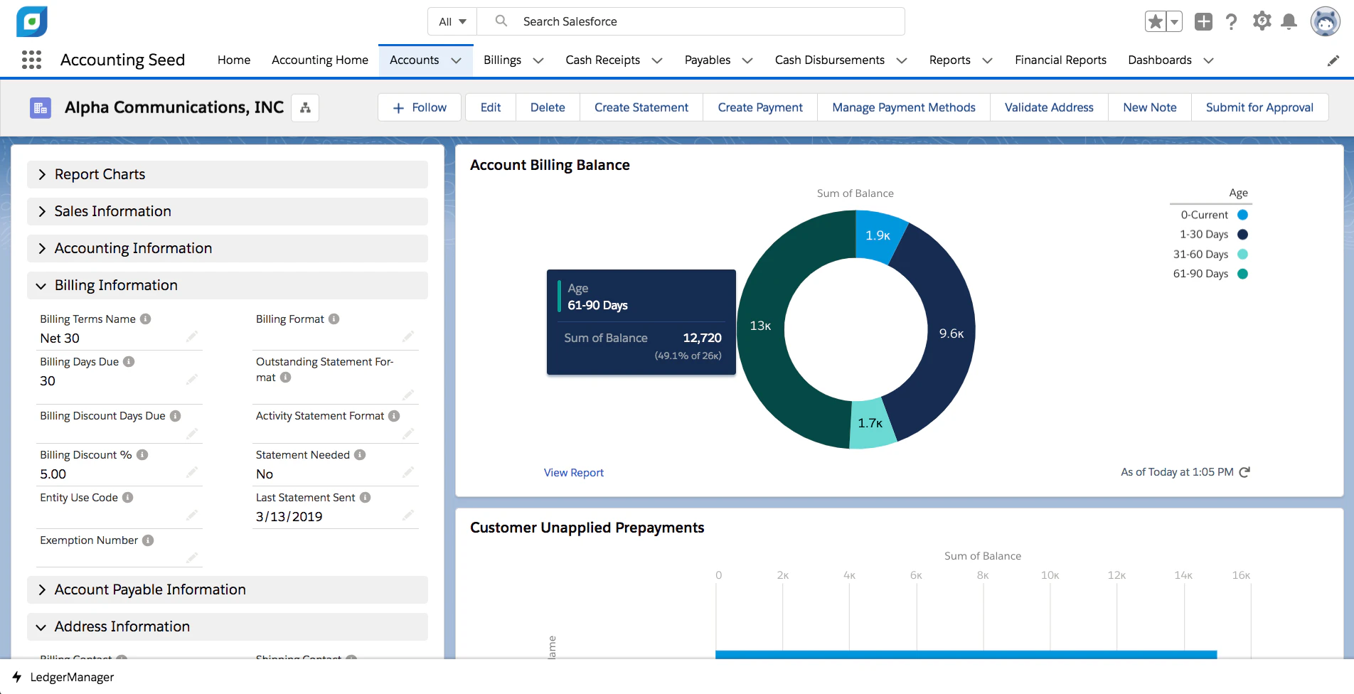 screenshot of Accounting Seed